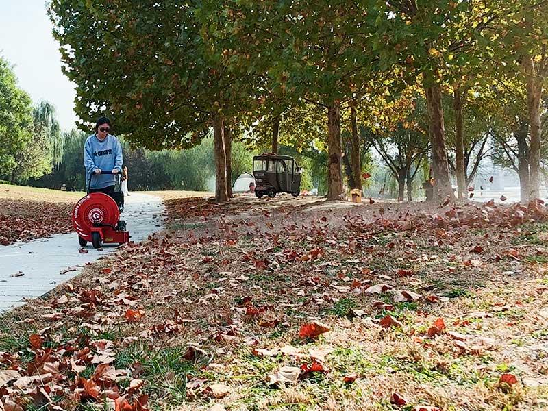lb1-vs-backpack-blower-comparison.jpg lb1-vs-backpack-blower-comparison.jpg