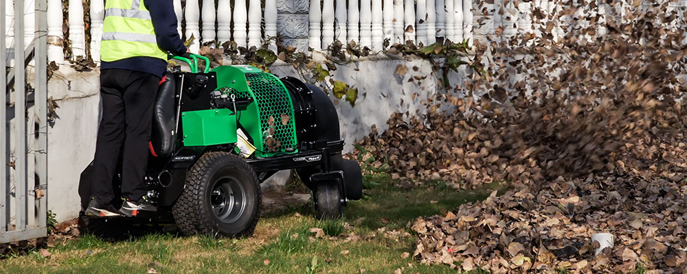 stand-on-leaf-blower-wall-leaves.jpg