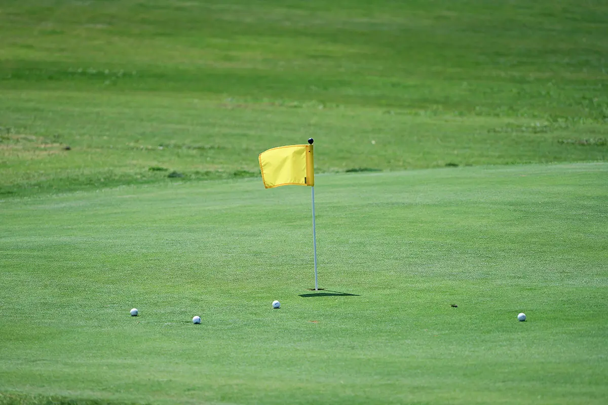 1787910312700345.jpg professional-golf-green-flagstick-balls.jpg