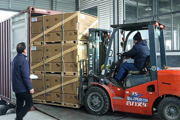 Global shipping container transport