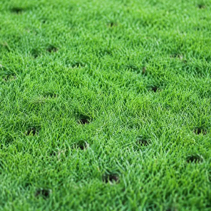 1787910338842642.jpg aerated-golf-turf-root-zone-holes.jpg