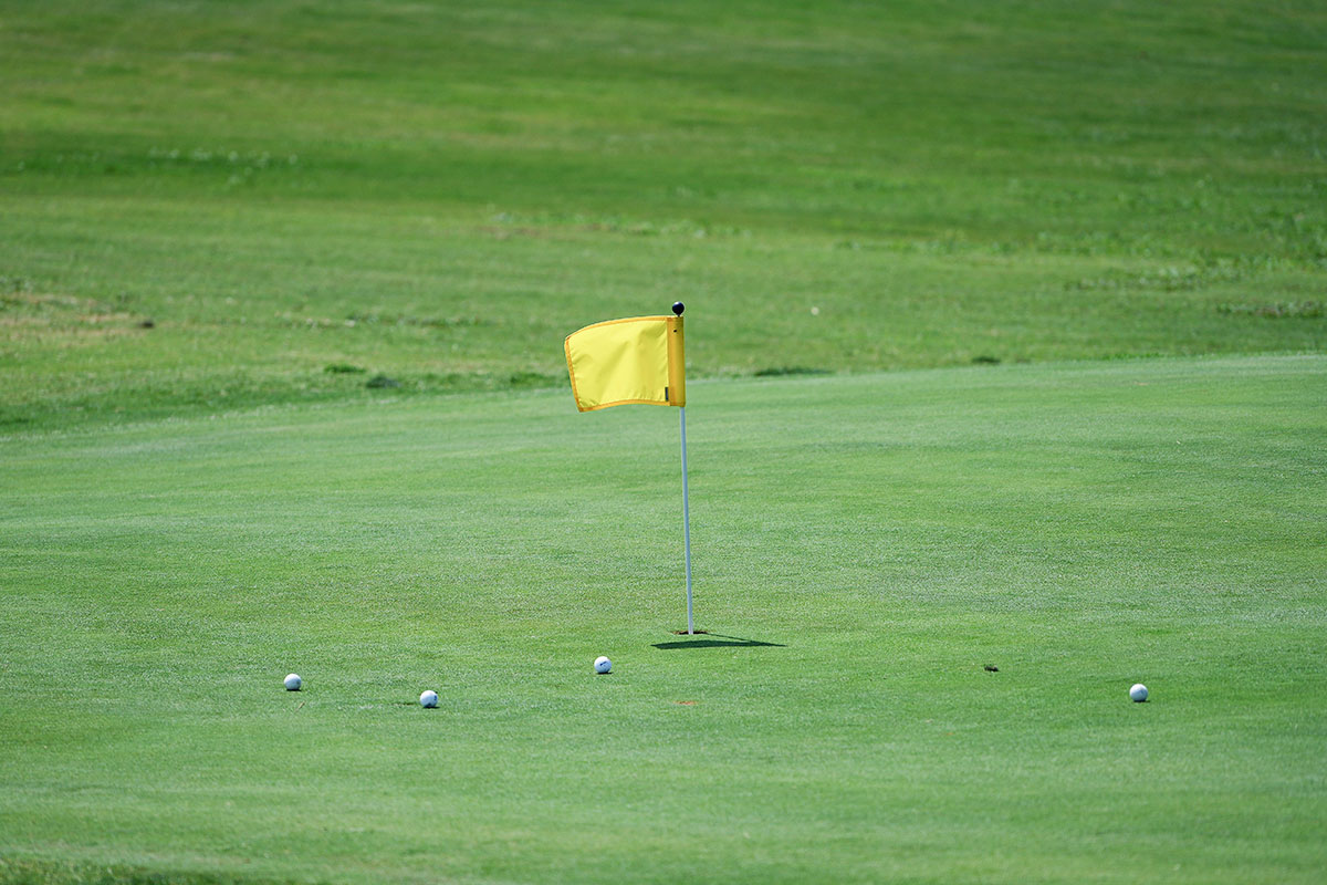 professional-golf-green-flagstick-balls.jpg