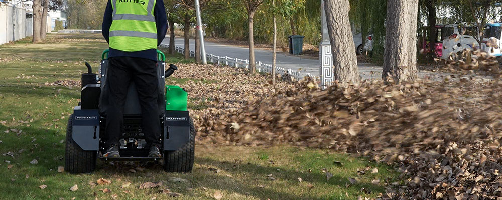 stand-on-leaf-blower-rear-view.jpg